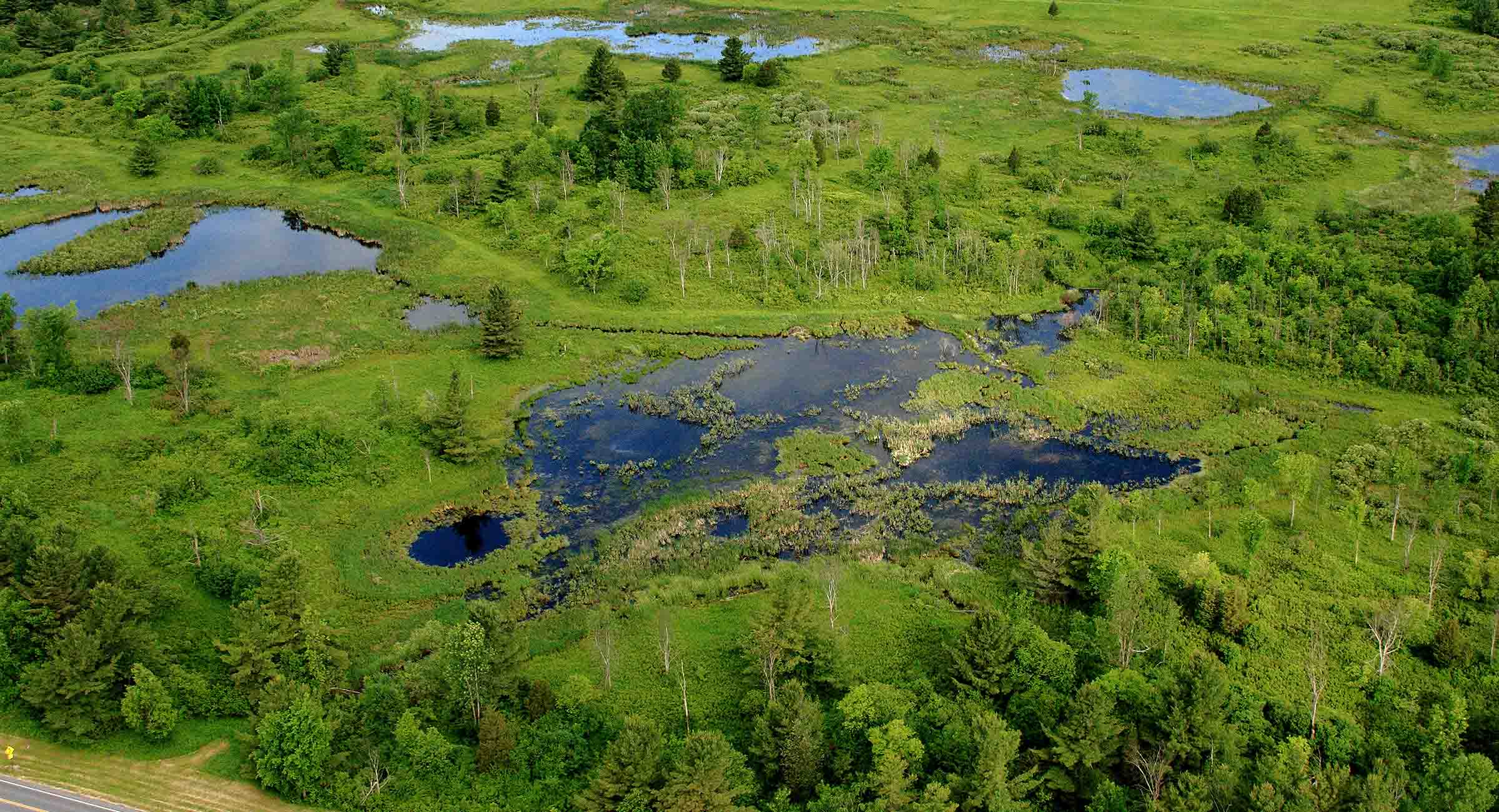 Wellesley Island Preserve