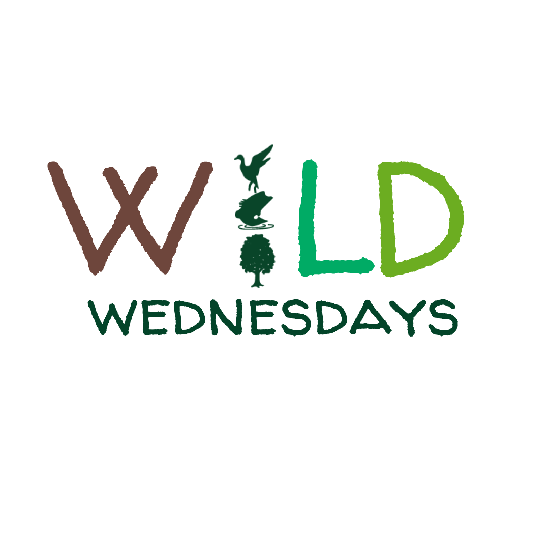 Wild Wednesdays Afterschool Program Launches