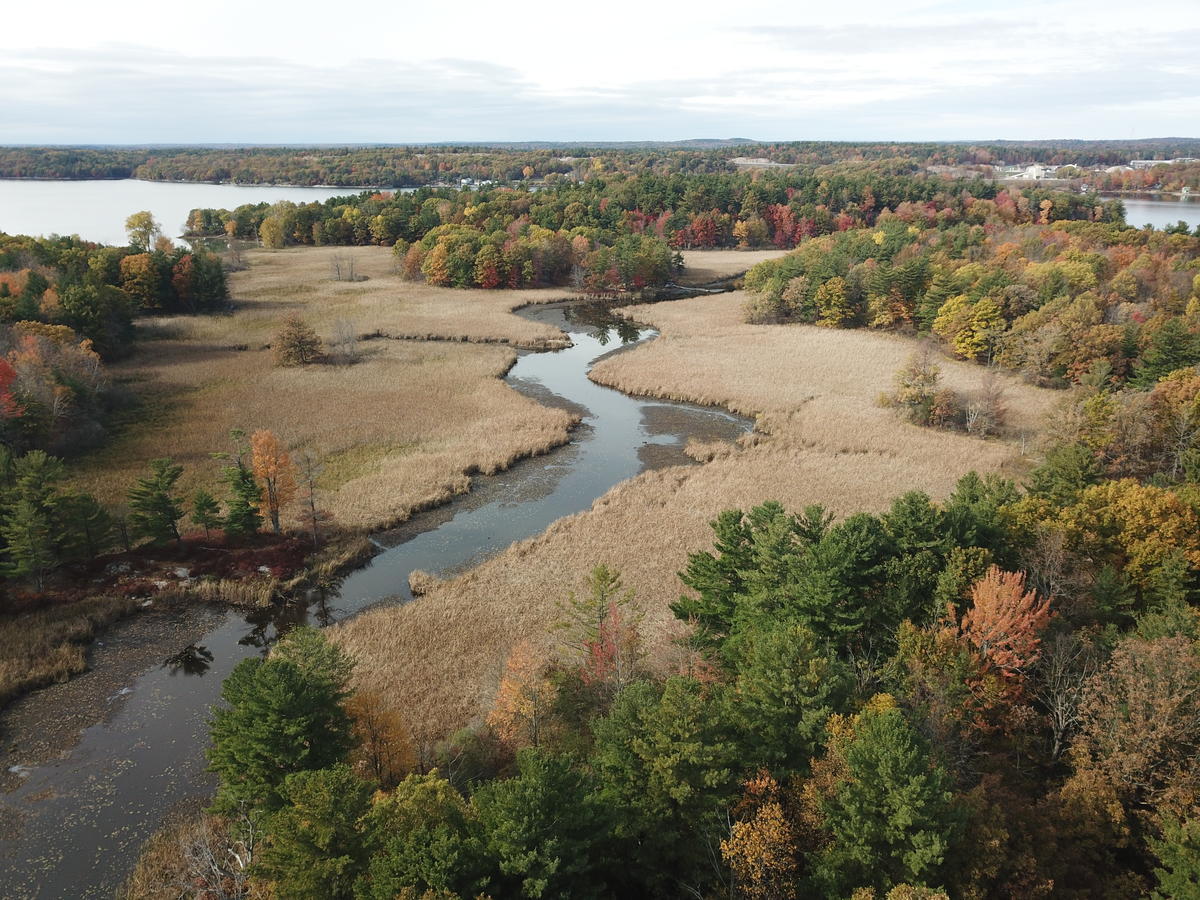 Preserving Water Quality in Goose Bay & Lake of the Isles