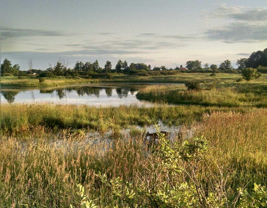 TILT Awarded $1 Million from Wetlands Conservation Fund