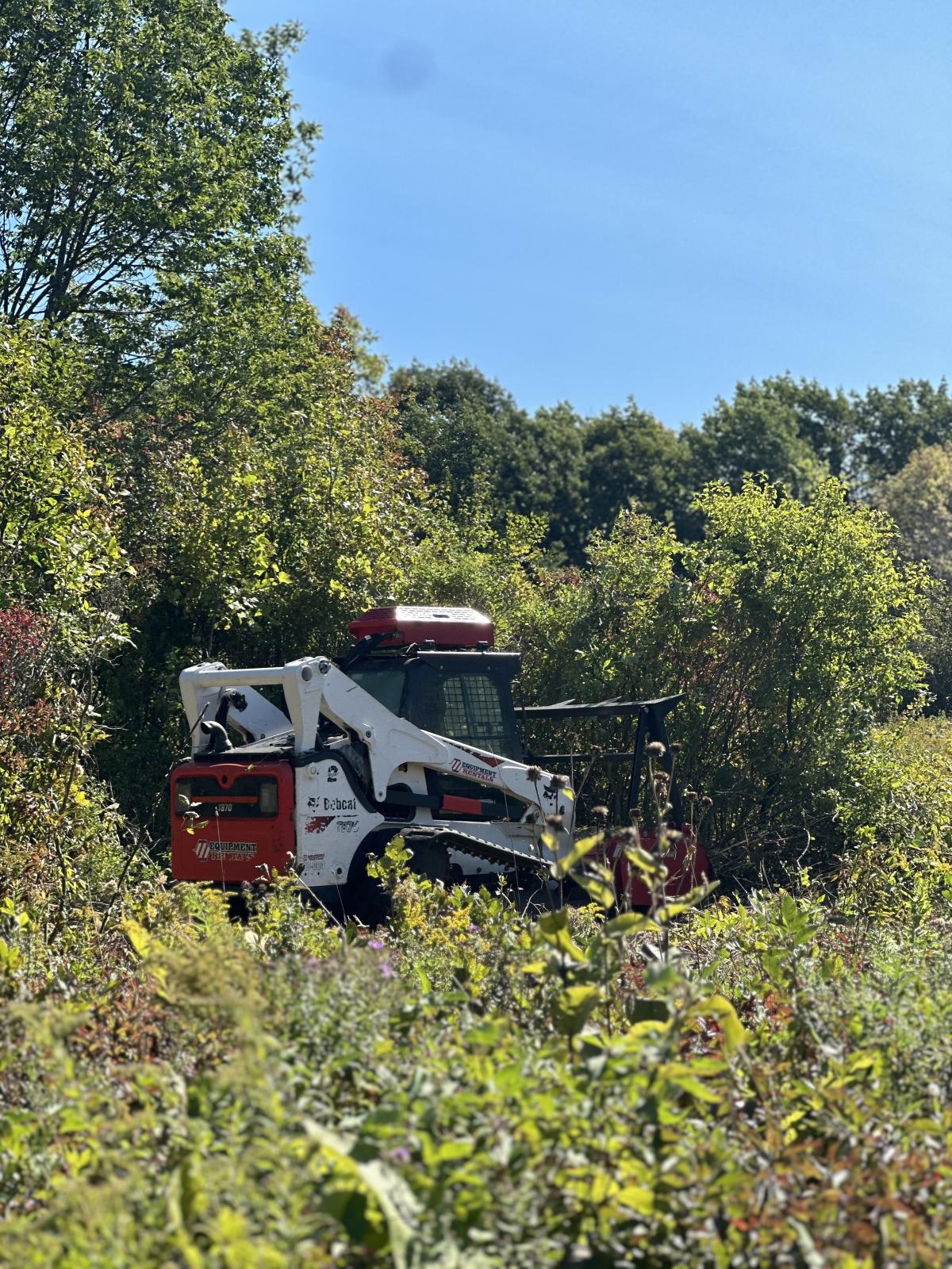 TILT Launches Ecosystem Restoration at Tibbetts Point Preserve