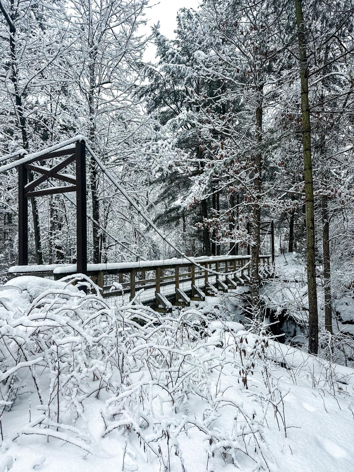 Celebrate TILT’s 40th Anniversary with an Adventure at Otter Creek Preserve