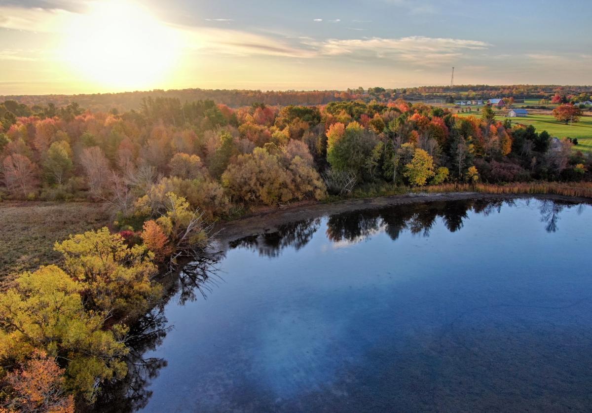 CBP Continues to Ignore Community Input on Proposed New Facility, Forces Access to TILT’s Blind Bay Preserve