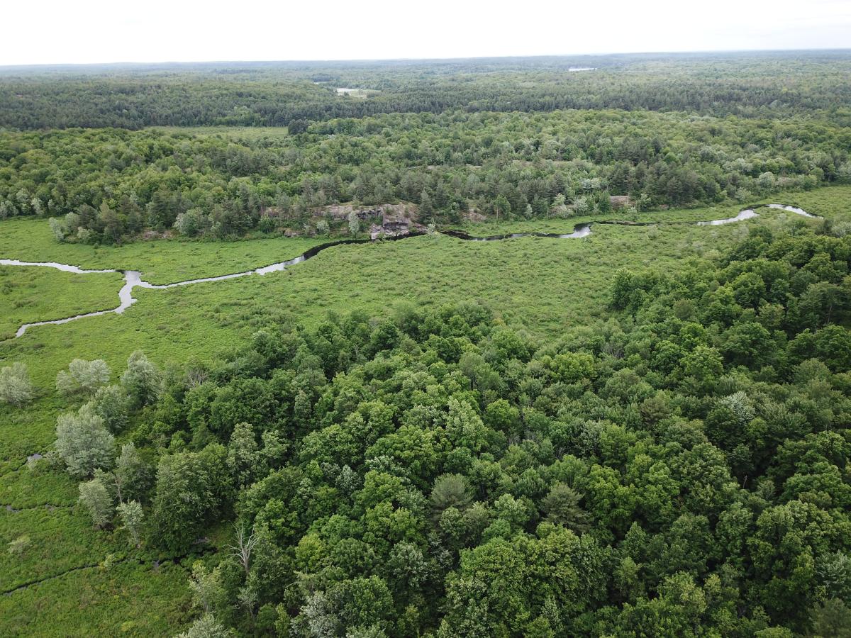 TILT Collaborates with Northeast Wilderness Trust, Further Protecting Lands in A2A as Forever Wild