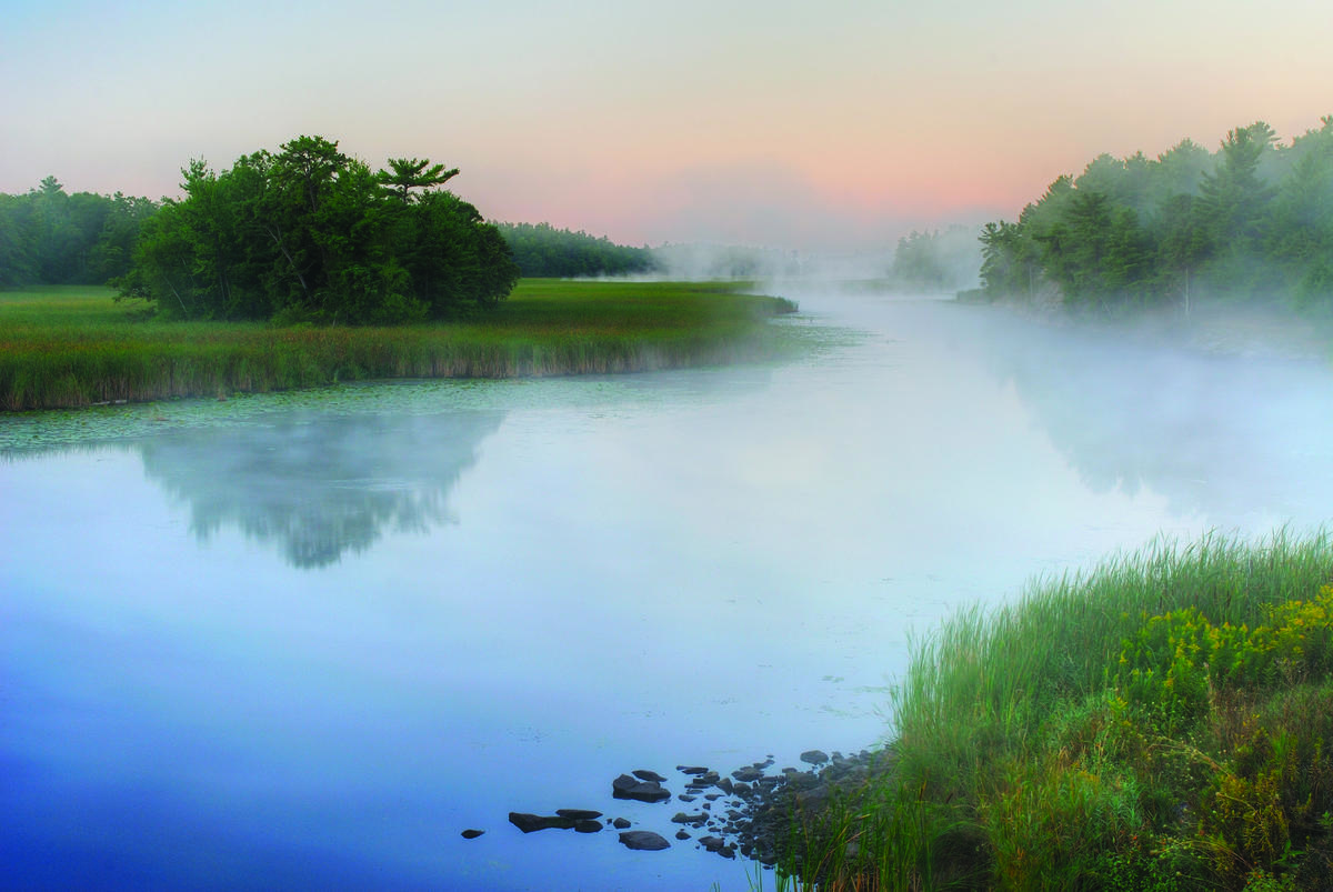 Conservation Benefits the Local Economy!