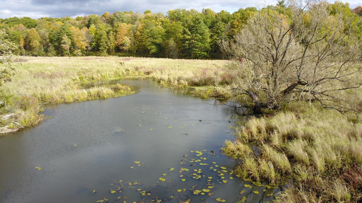 Evans Property: Jewett Creek’s Hidden Gem