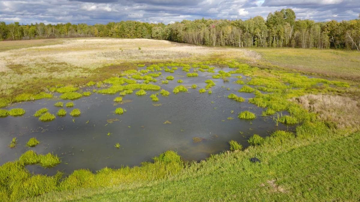 Thousand Islands Land Trust and Ducks Unlimited Partner for Wetland Restoration Project