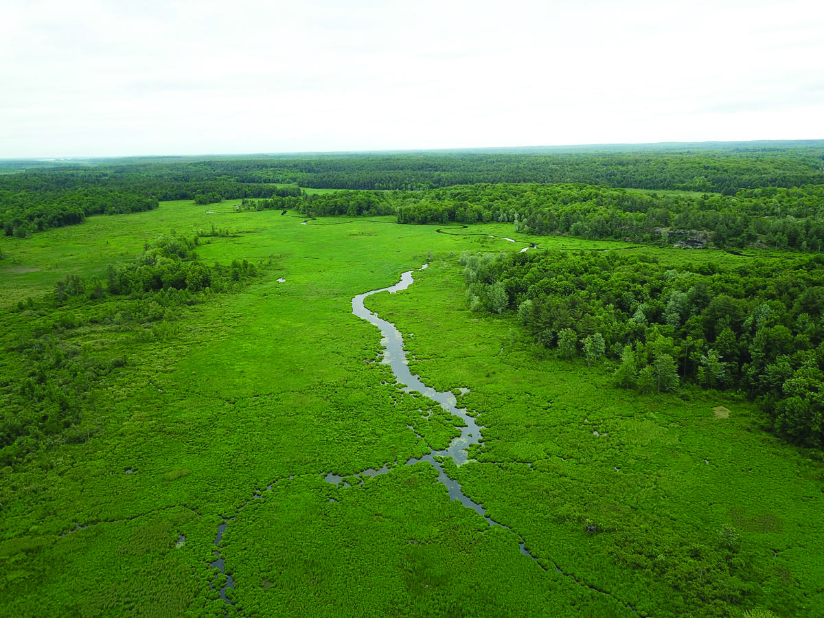 Connecting Wild Lands