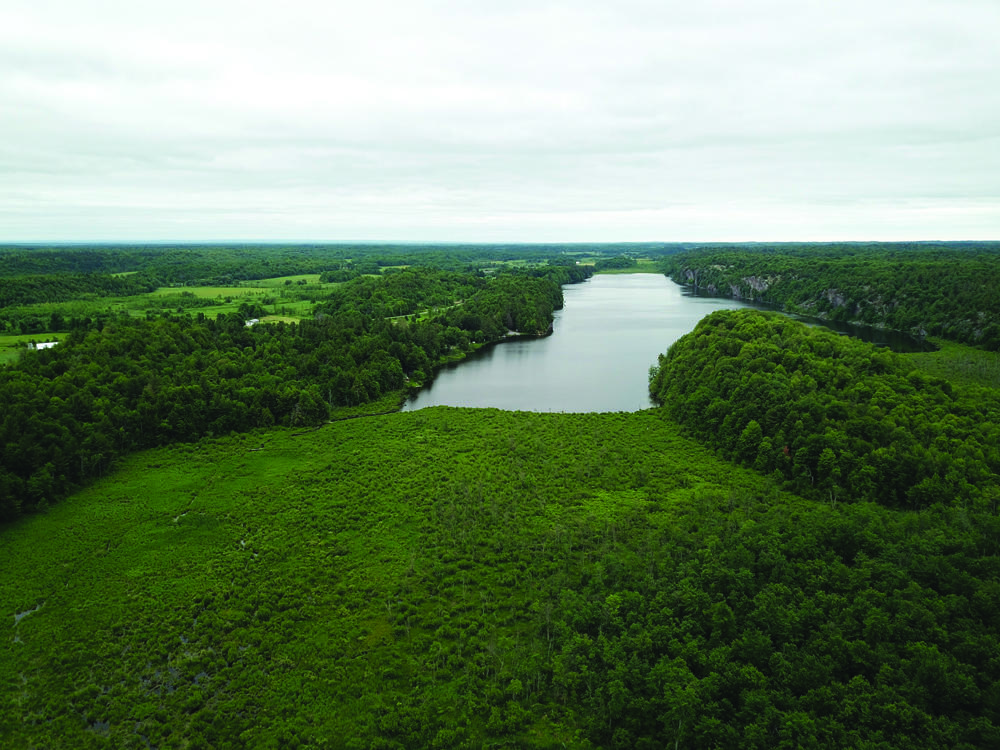 Local Conservation Partners Secure $1M for Wetlands Conservation