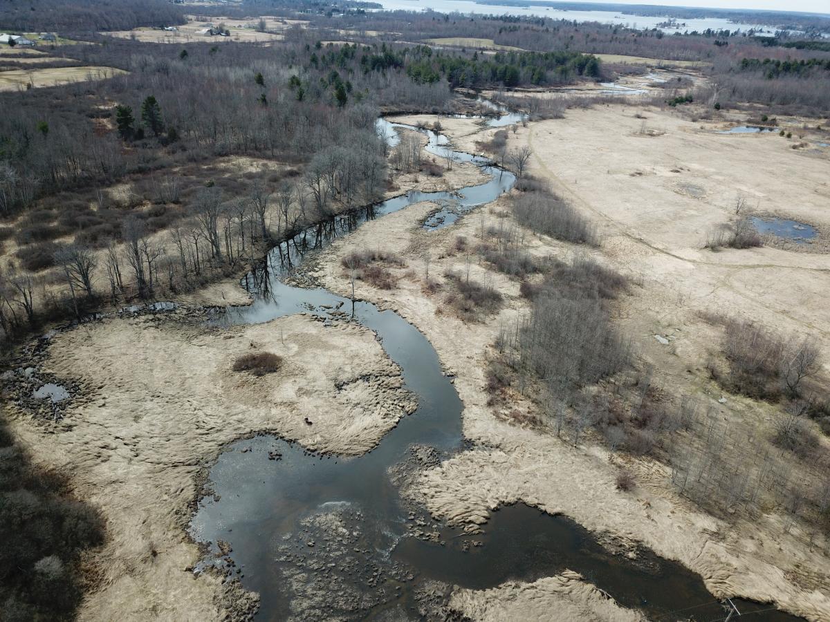 TILT builds upon Mullet Creek Watershed Preserve at Fishers Landing