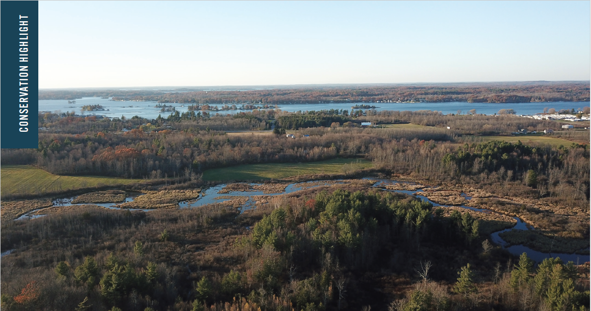 Conservation Highlight- Fishers Landing