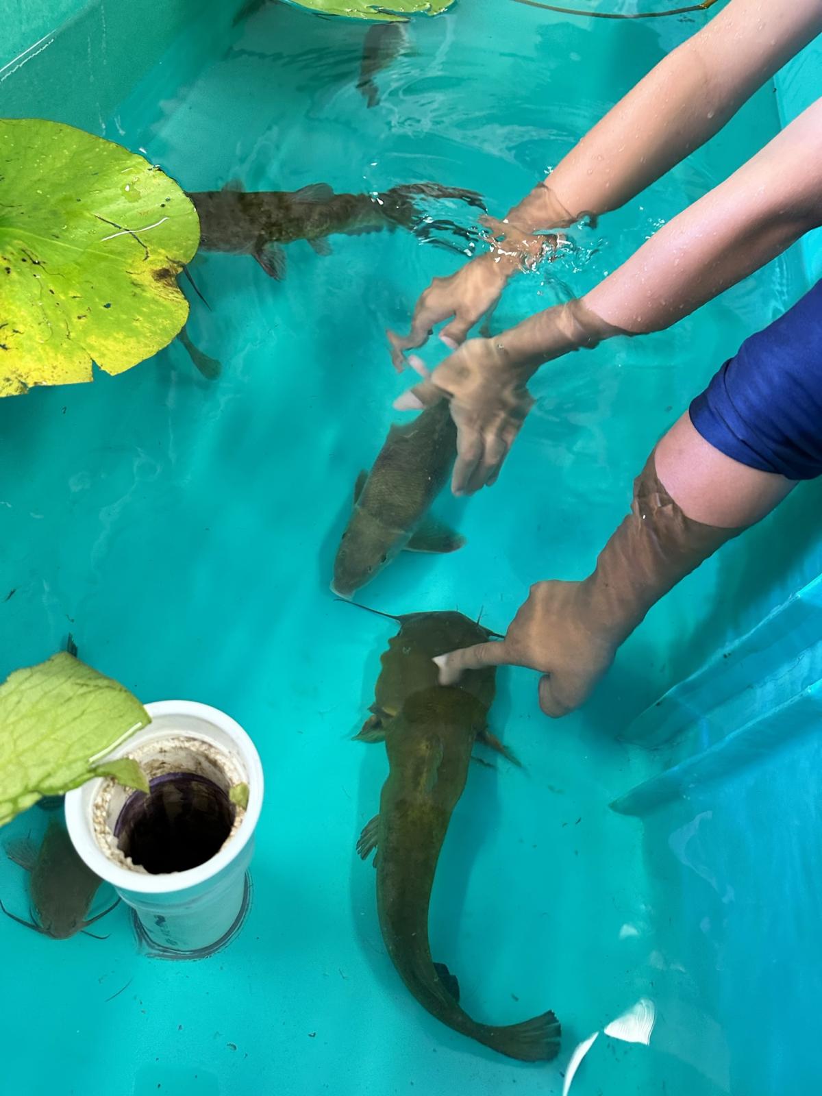 Conservation Connections