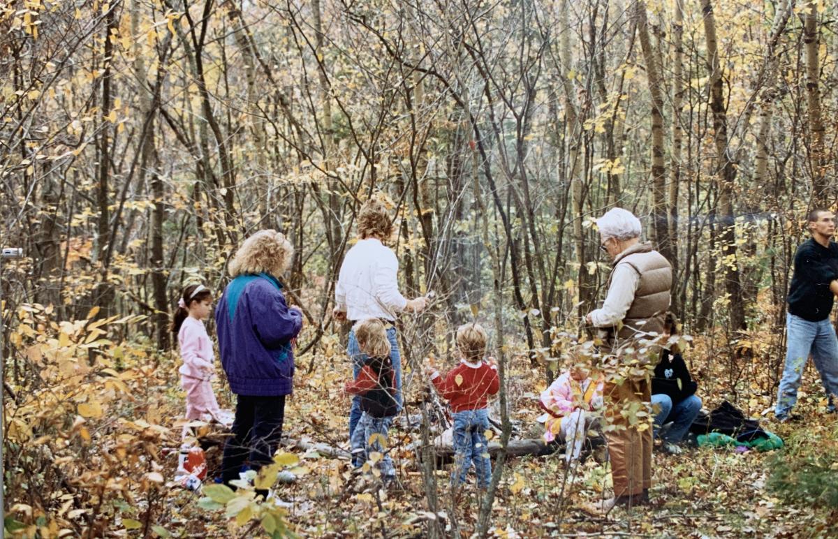 Let’s Go For a Walk in the Woods