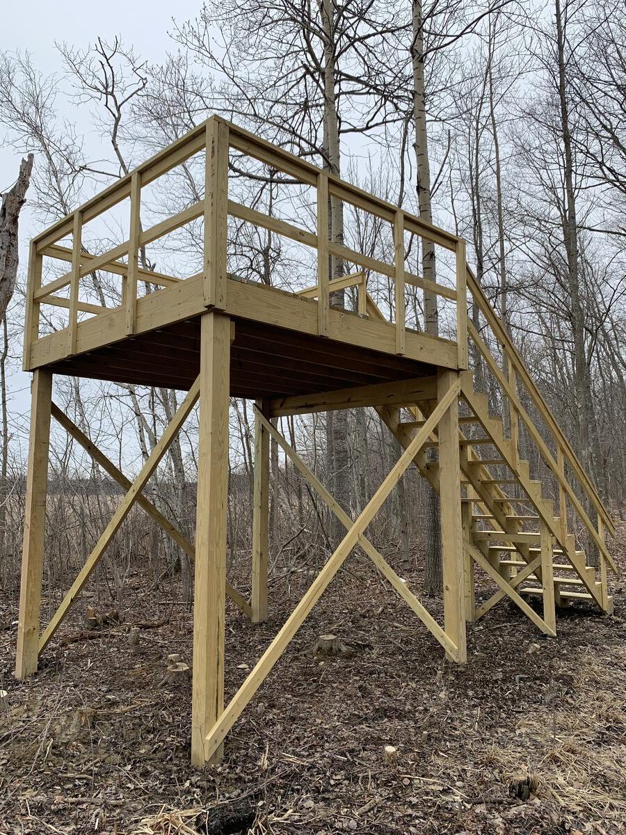 Stewardship: Chippewa Bay Preserve