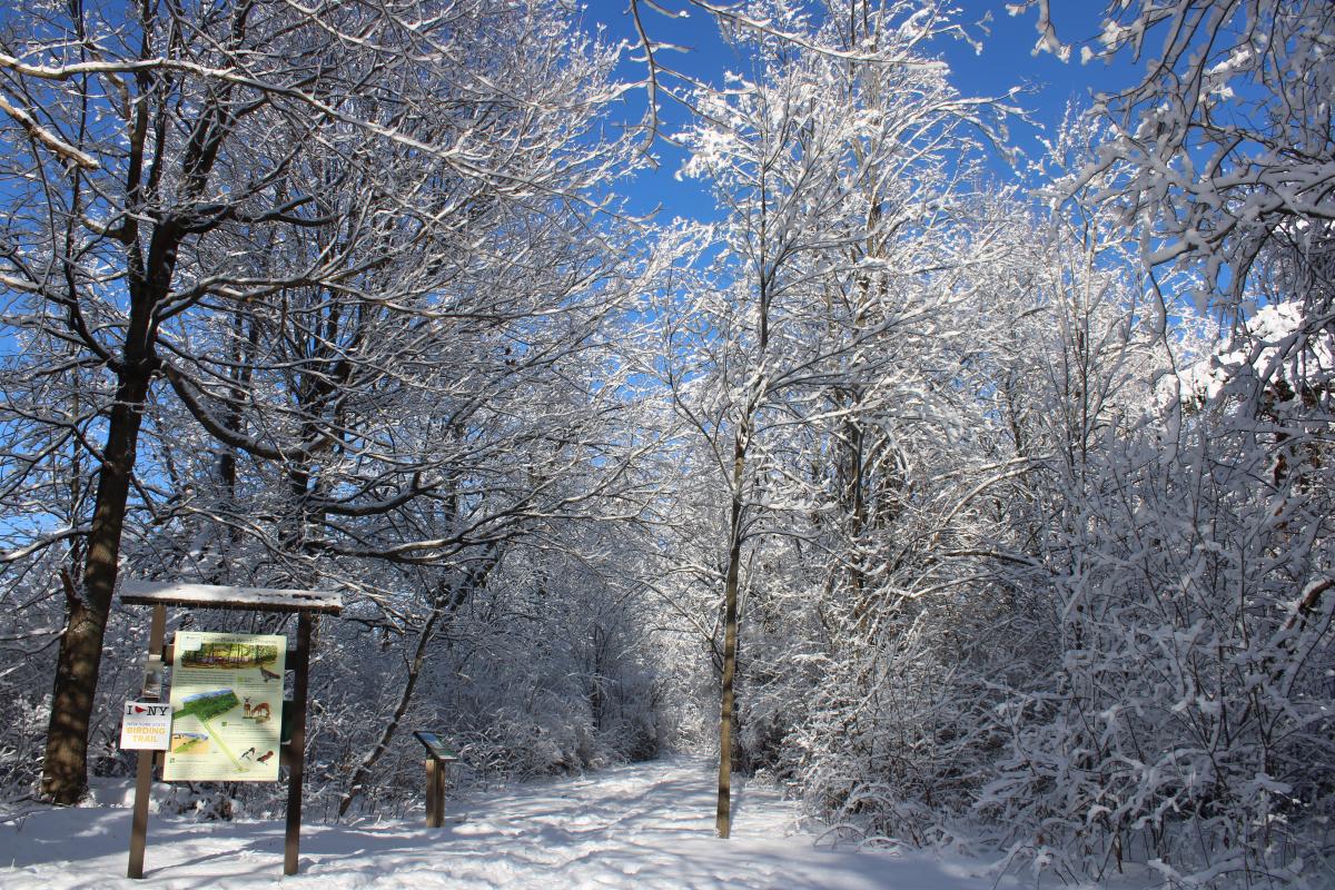 Celebrate TILT’s 40th Anniversary with an Adventure at Foster-Blake Woods Preserve