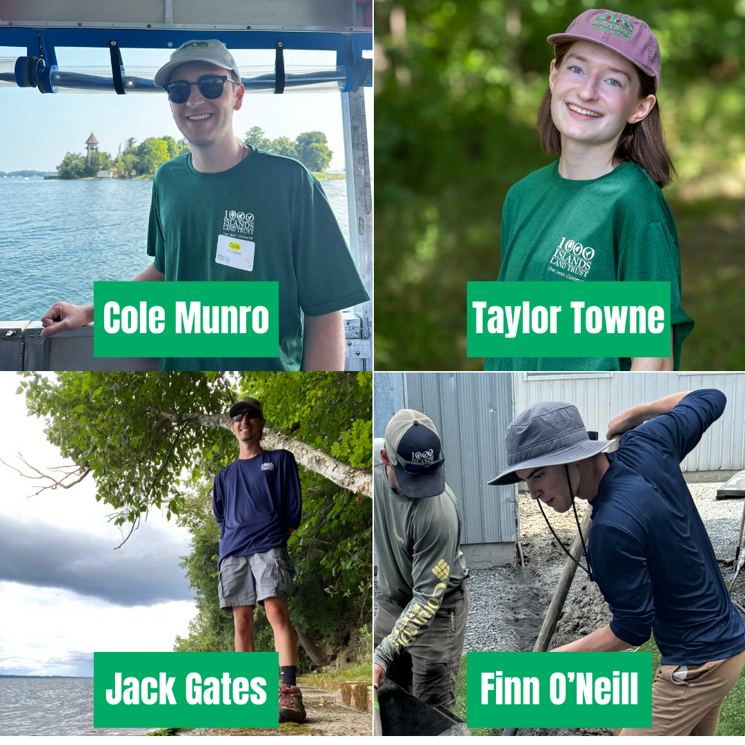A Summer of Stewardship and Learning at the Land Trust