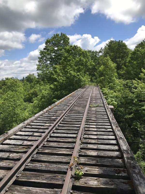 Community Connection Project on the Sissy Danforth Rivergate Trail