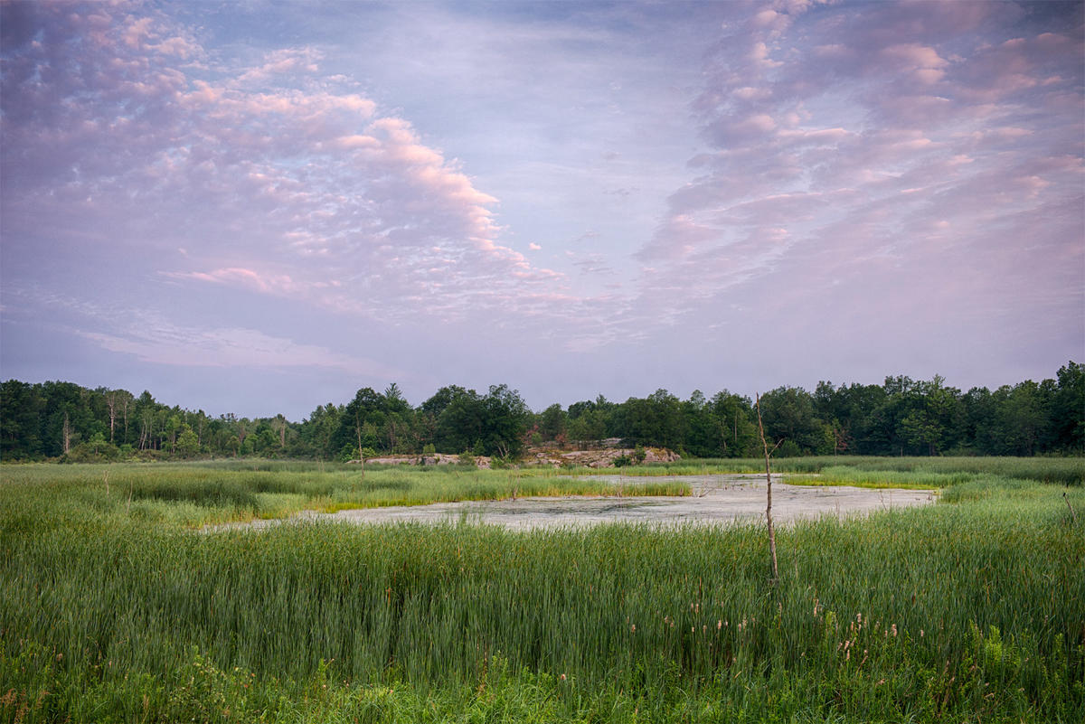 Goose Bay Wetlands Conserved