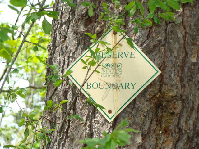 Terrafirma: Ensuring Conservation Defense