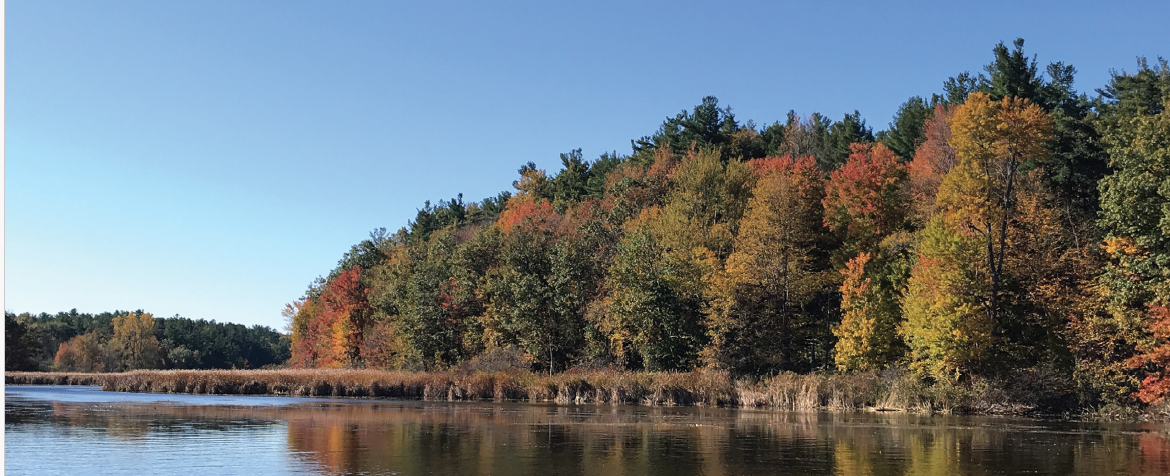 Conservation Highlight- Rice-Clay Preserve