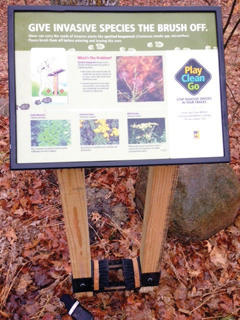 Play-Clean-Go: Stopping the Spread of Invasive Species