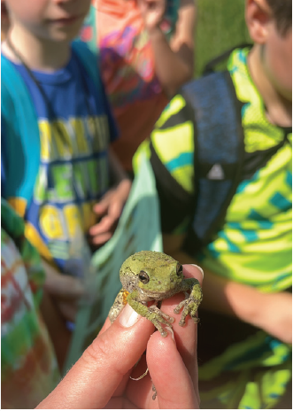 Conservation Connections