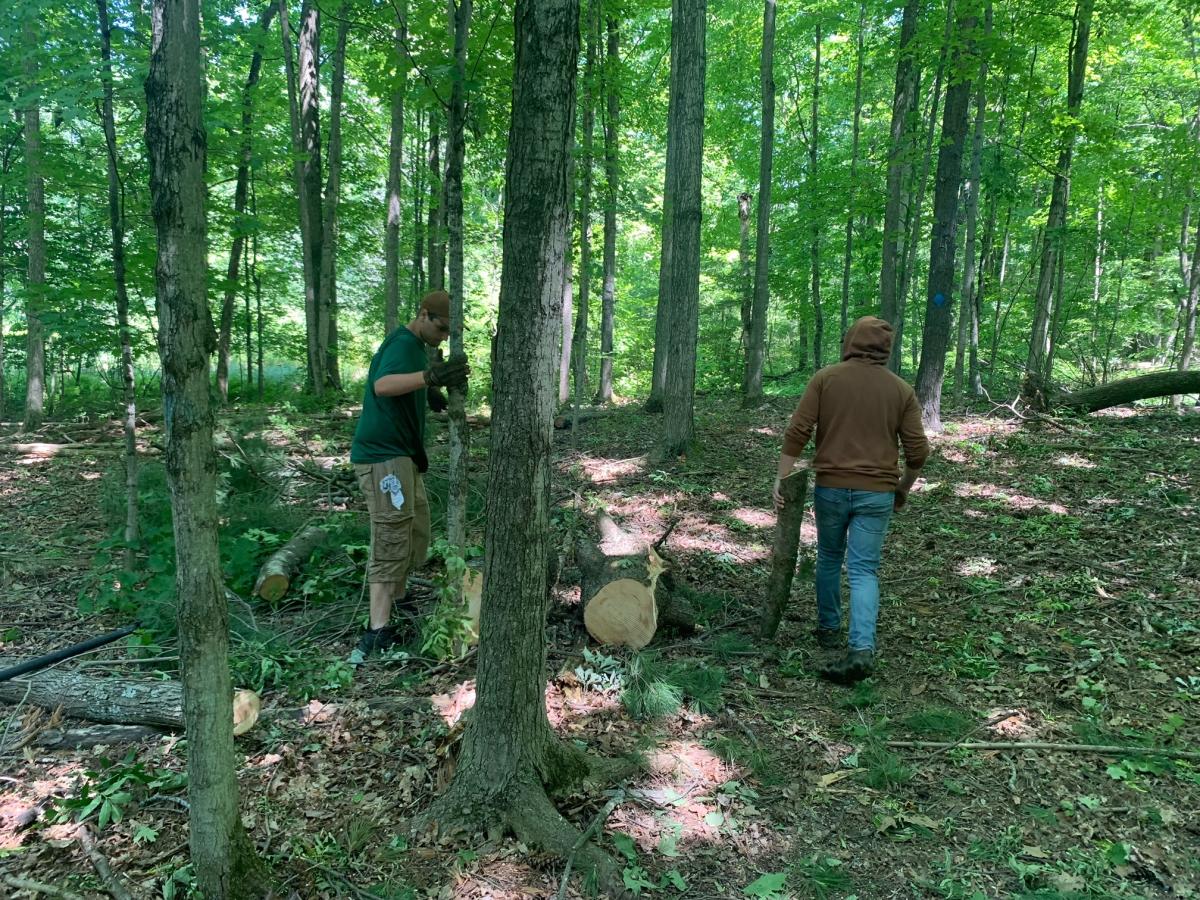 Reflections from our Summer Land Stewards