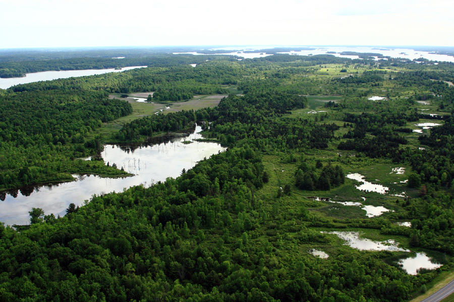 Wellesley Island acreage conserved