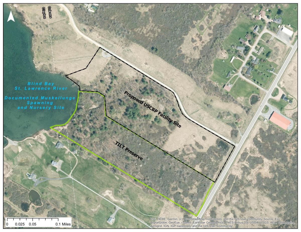 TILT’s Position Letter on the Proposed USCBP Station