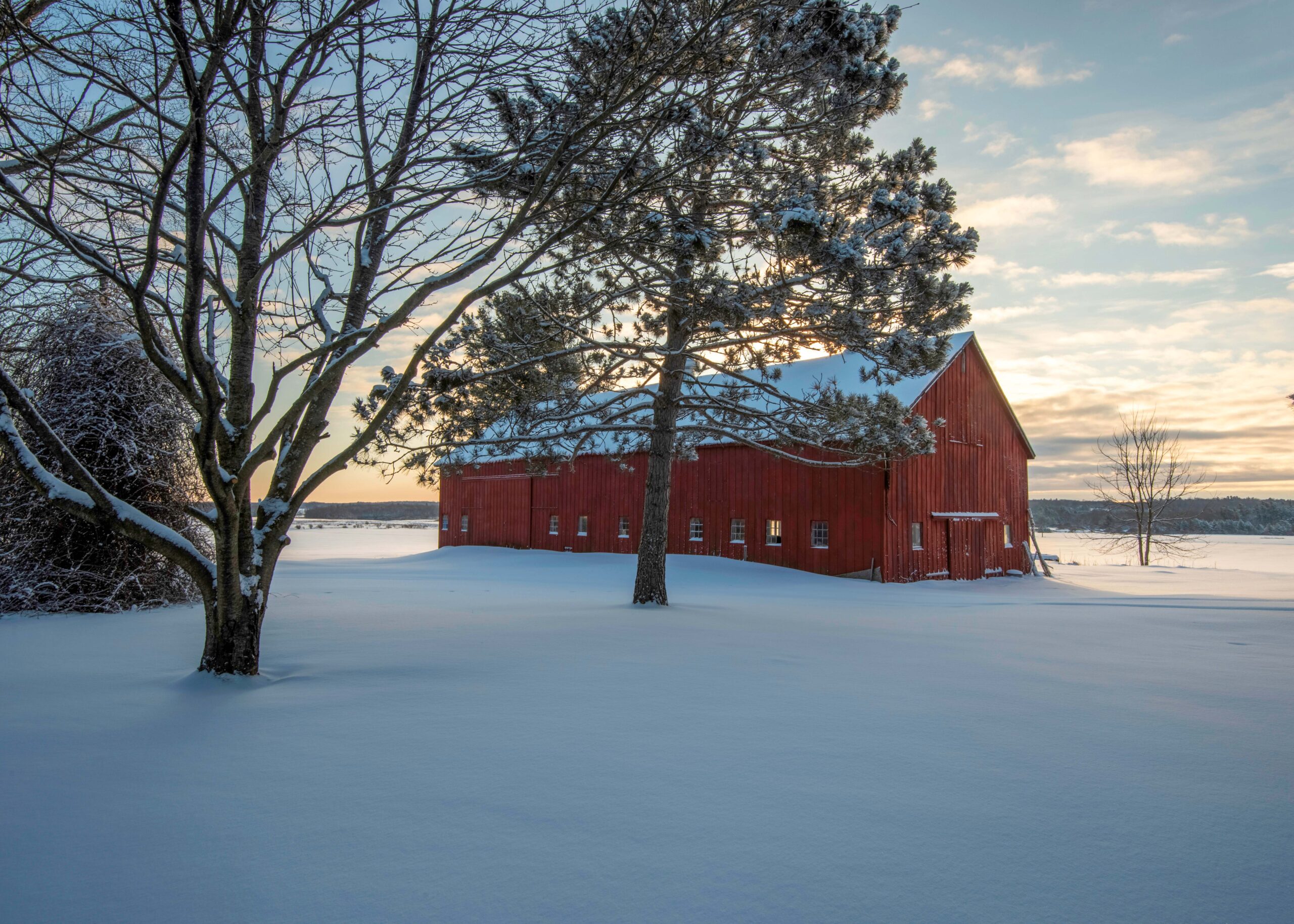 Reuniting Turcotte Farm with Zenda