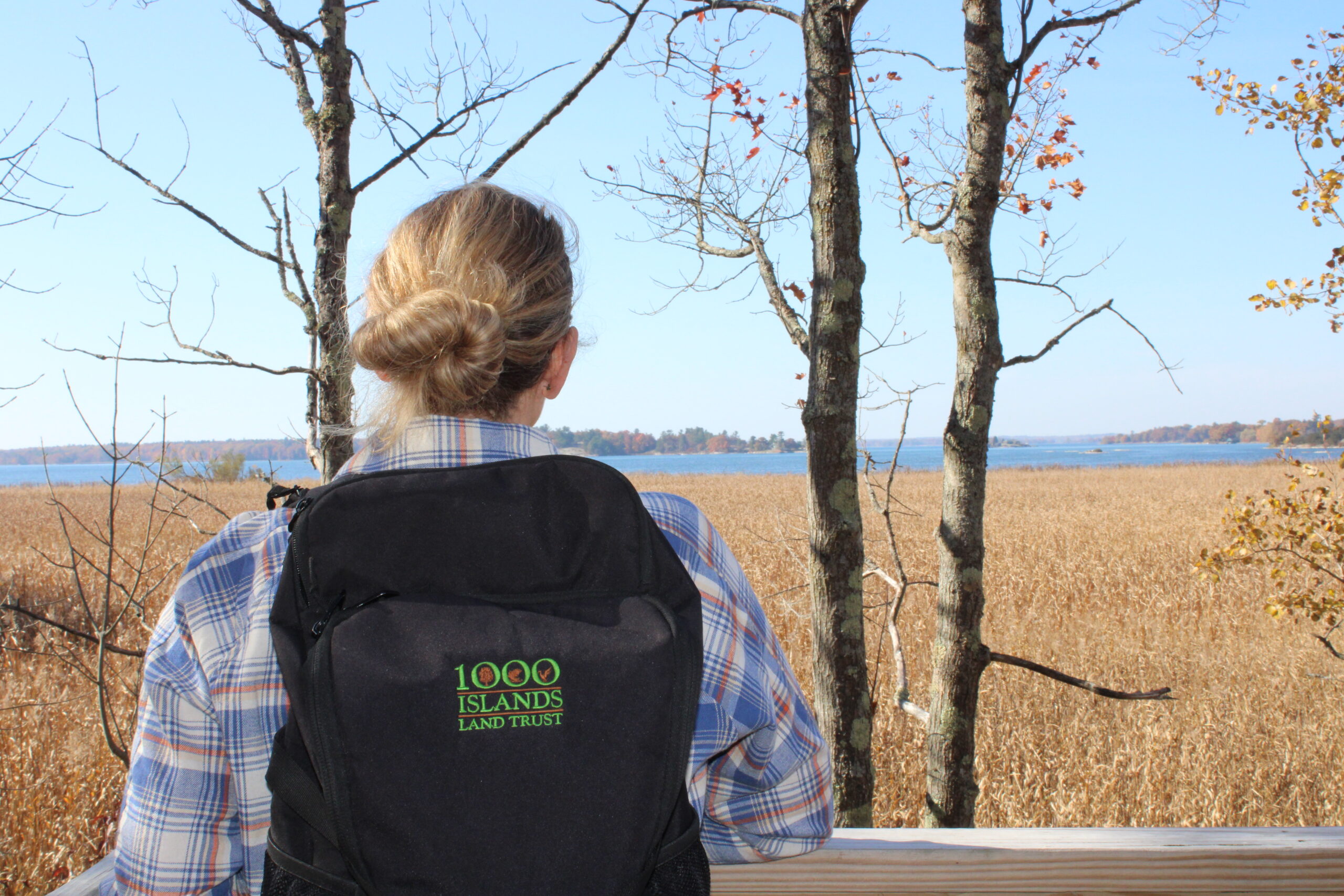 Chippewa Bay Preserve History