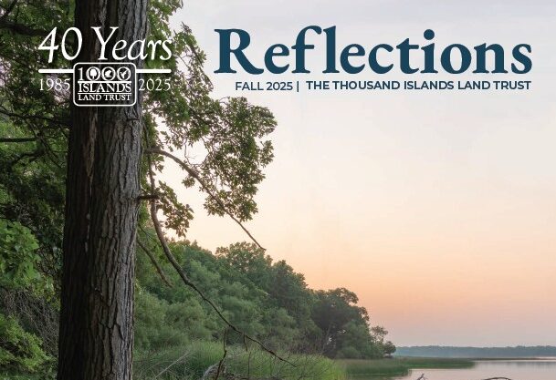 Fall 2025 Reflections Newsletter