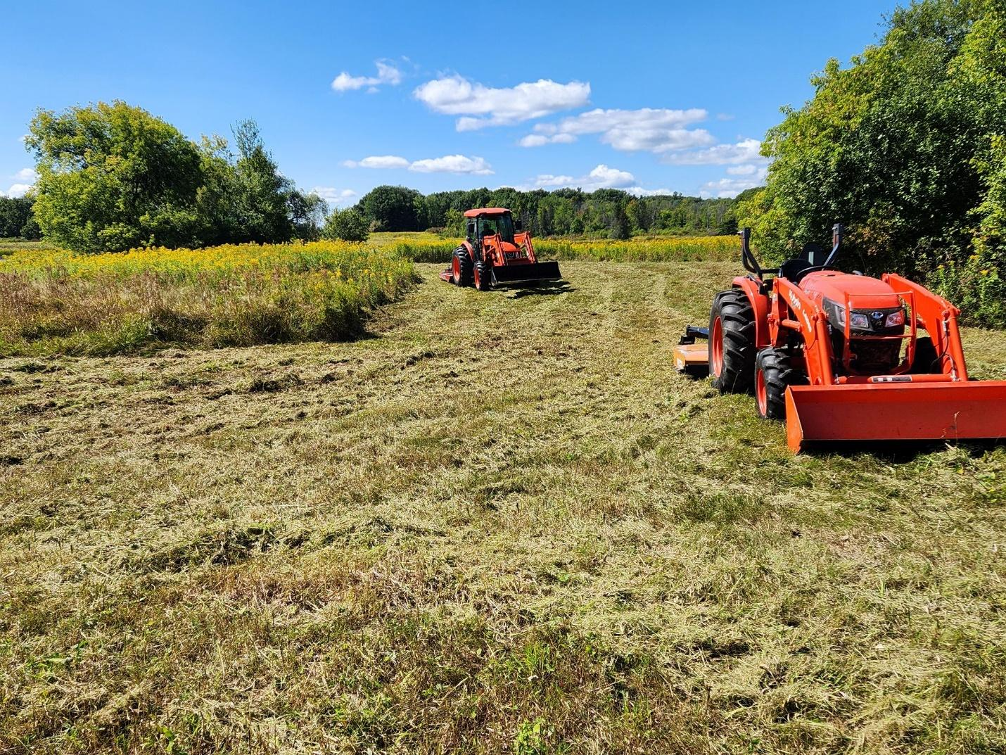 40 Years Strong: Stewardship on Grindstone Island