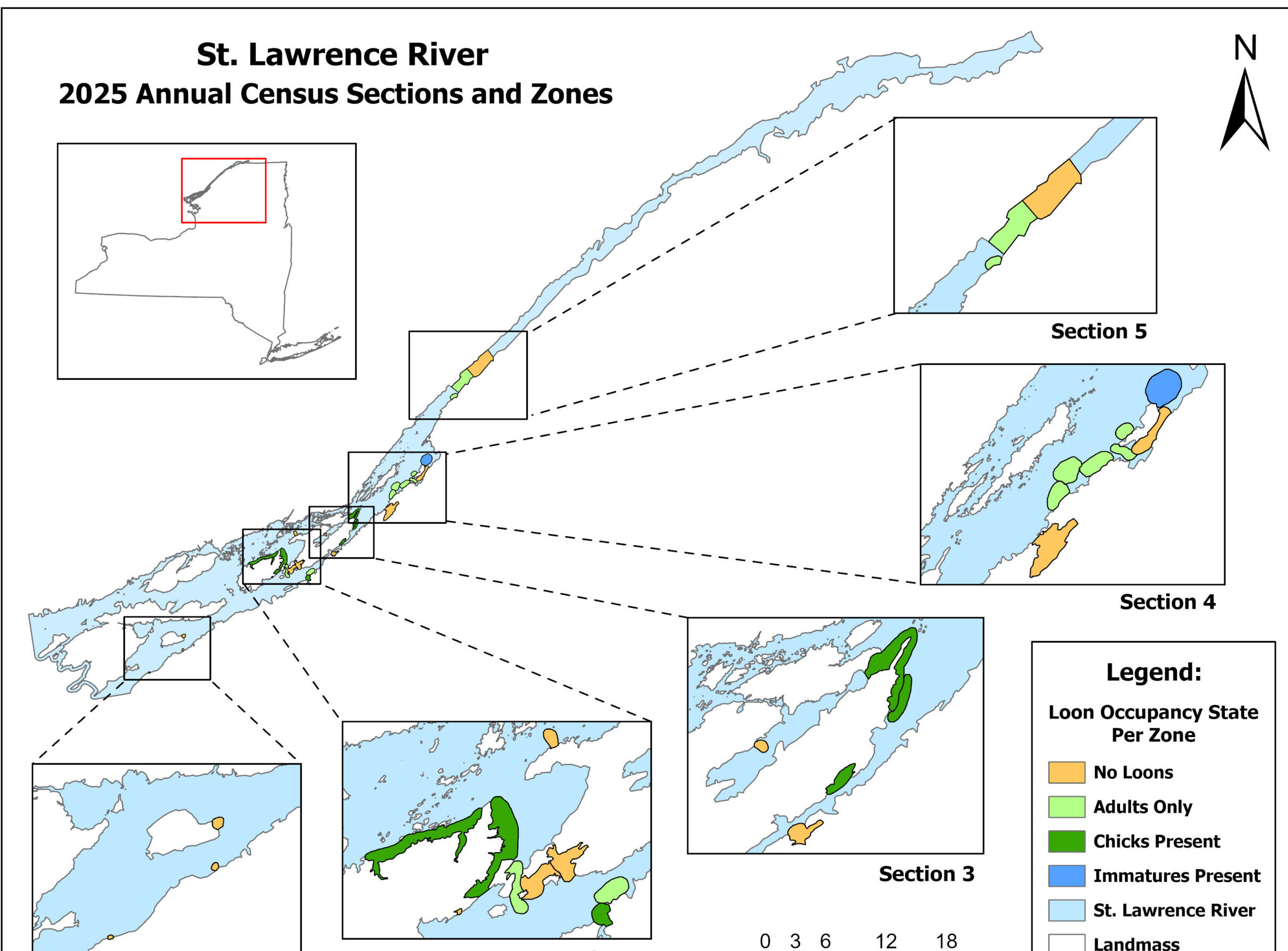 TILT Volunteers Help Document Historic Loon Numbers in New York State