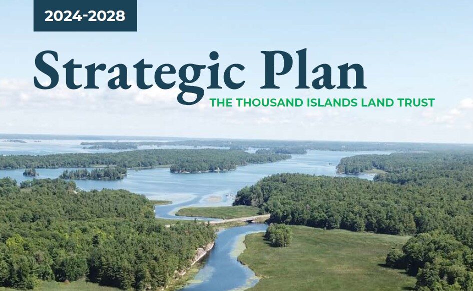 TILT’s 2024-2028 Strategic Plan