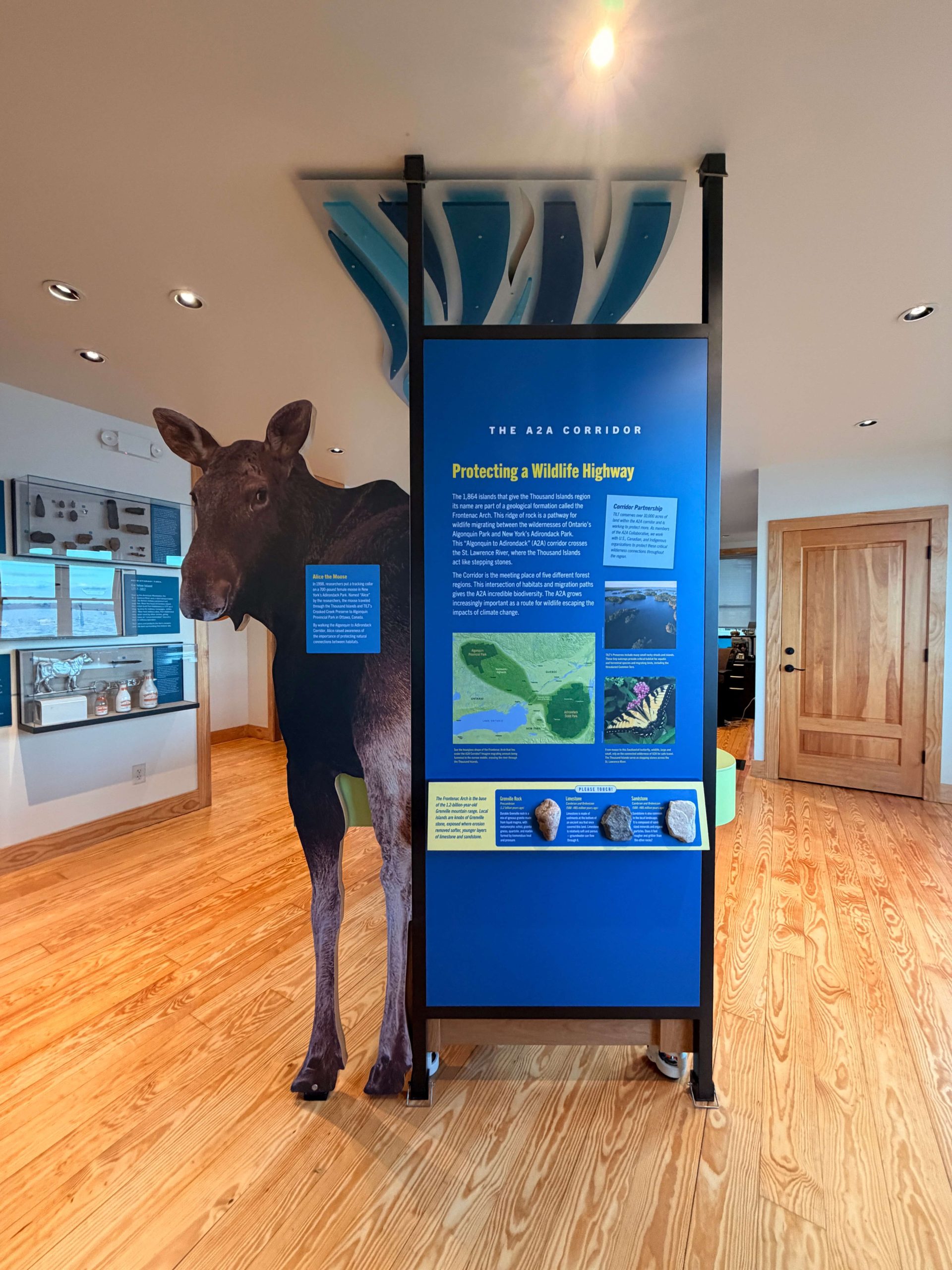 A Cozy Cure for Winter: Inside the TILT Discovery Center