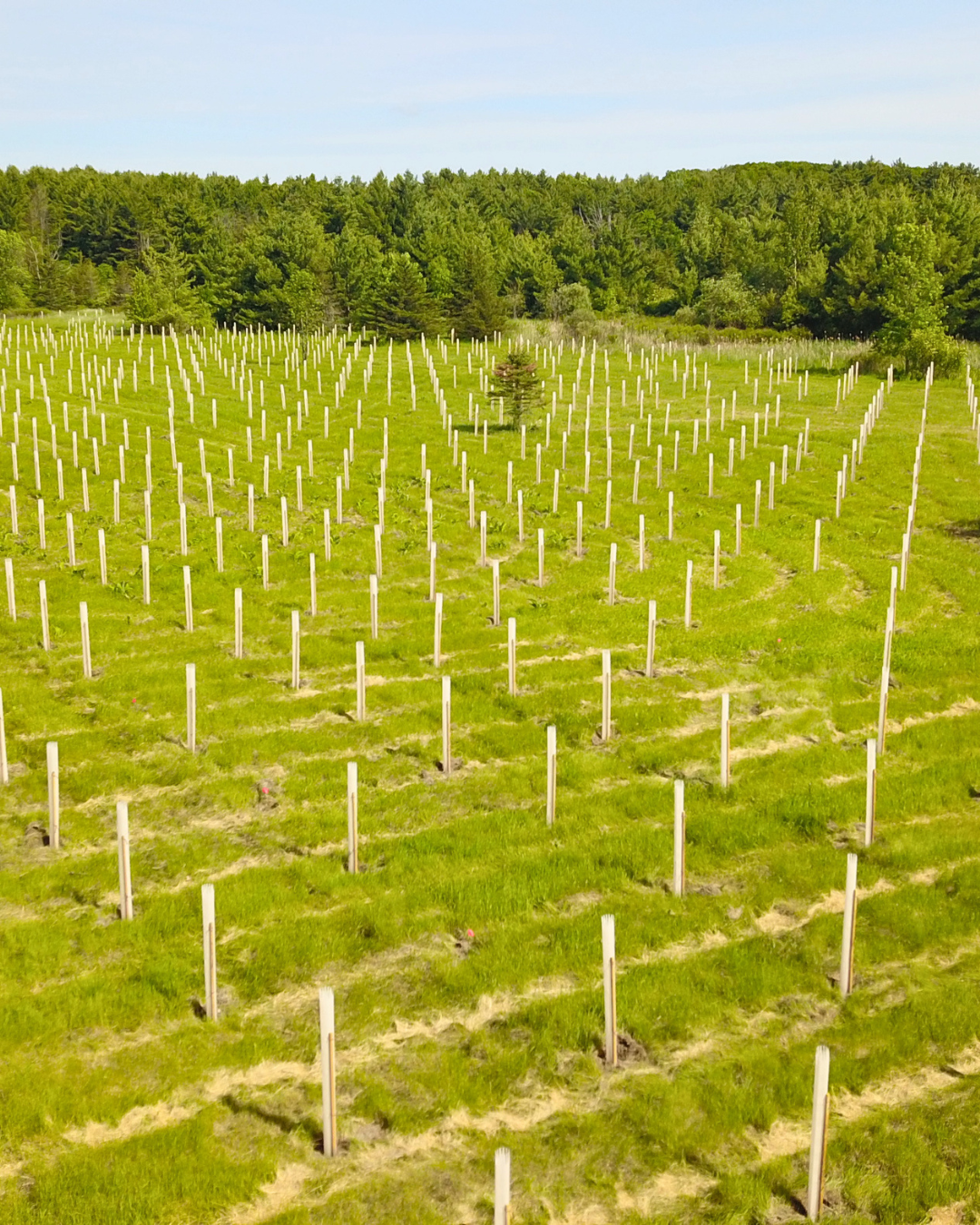 Partner Spotlight: The Nature Conservancy and Jefferson County Soil & Water