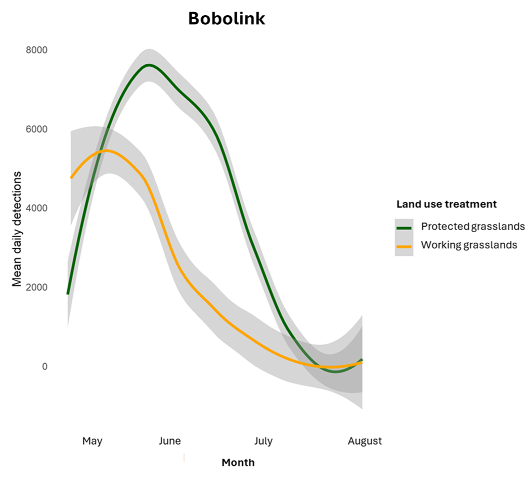 Graph that compares the mean daily detections of Bobolinks and land use treatment (protected grasslands versus working grasslands)