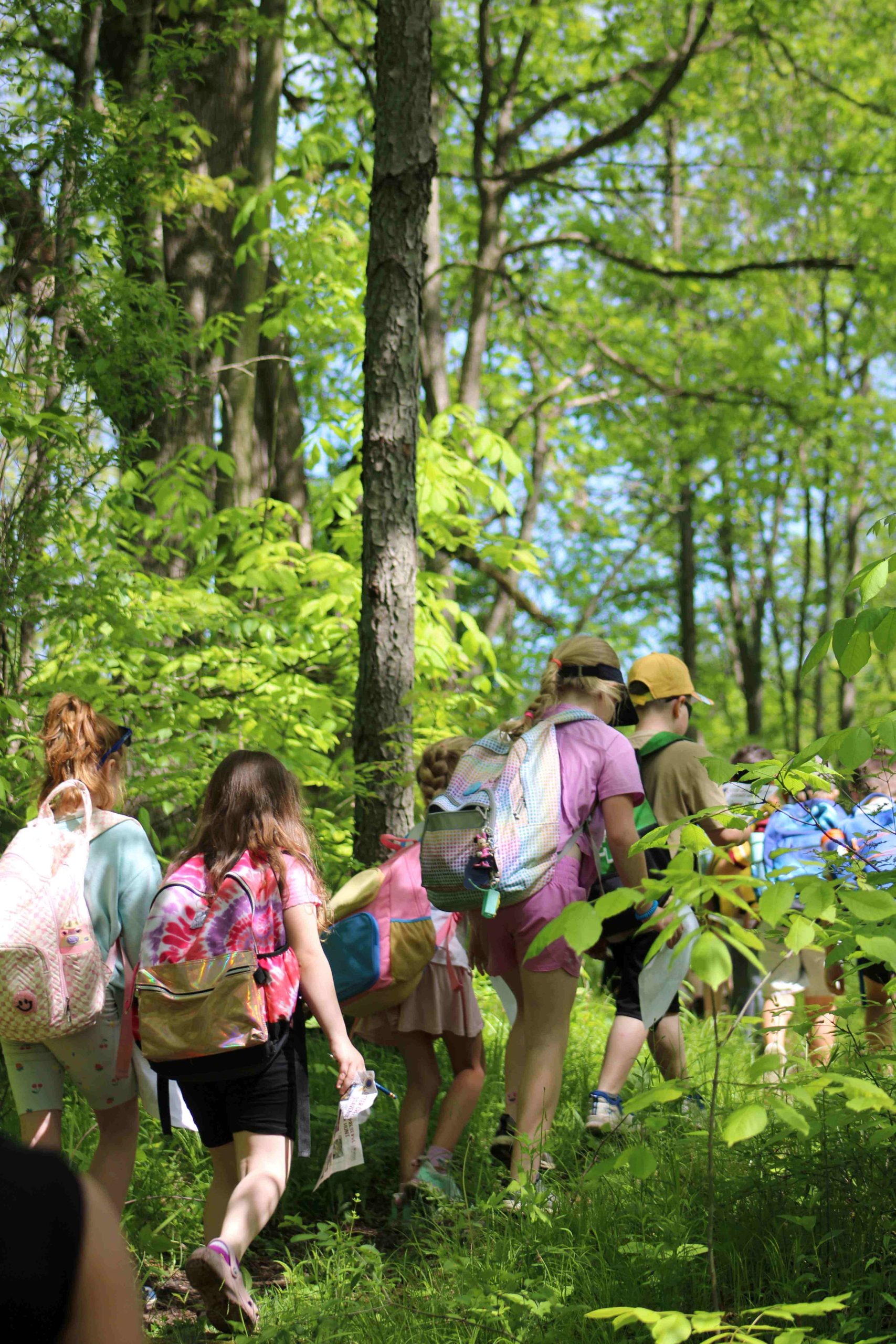 children part of the conservation connections program walking in the woods at Otter Creek Preserve