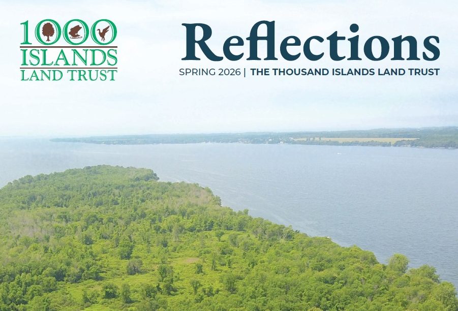 2026 Spring Reflections Newsletter