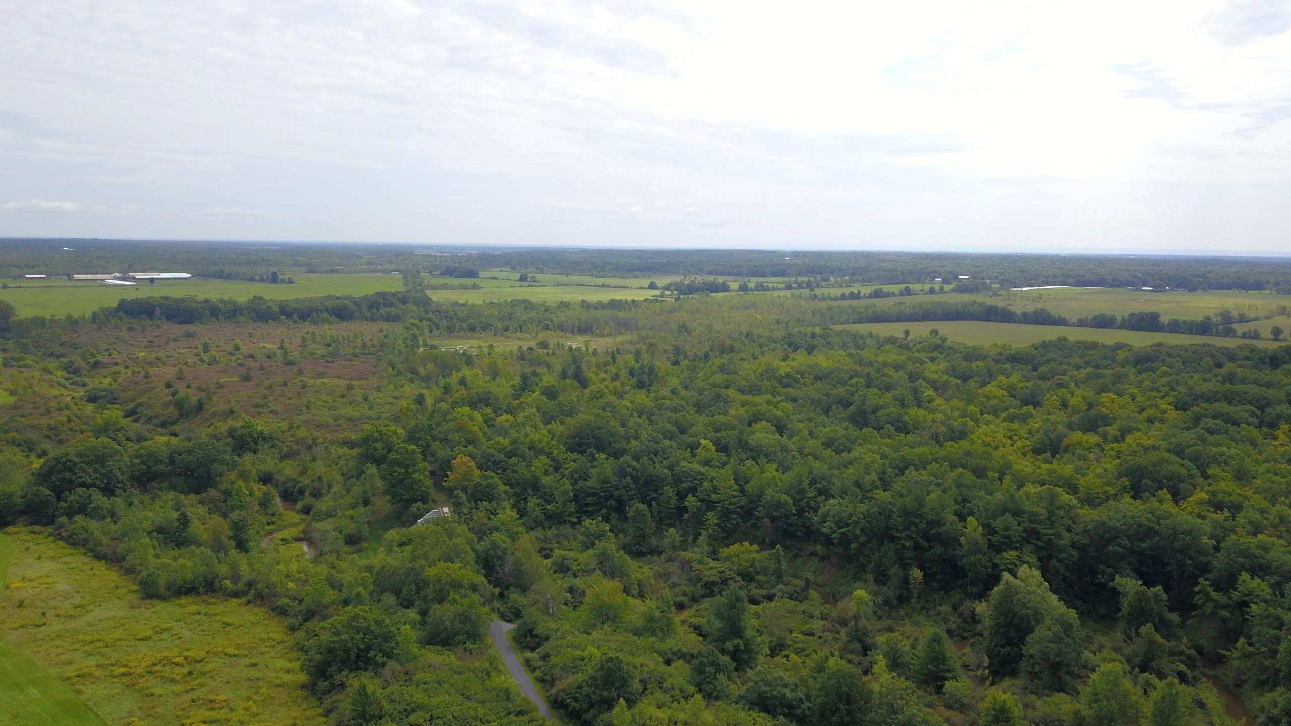 : The McCarn Hill Forest Block appears on the right side of the image, framing the Rivergate Trail and its trestle bridge below
